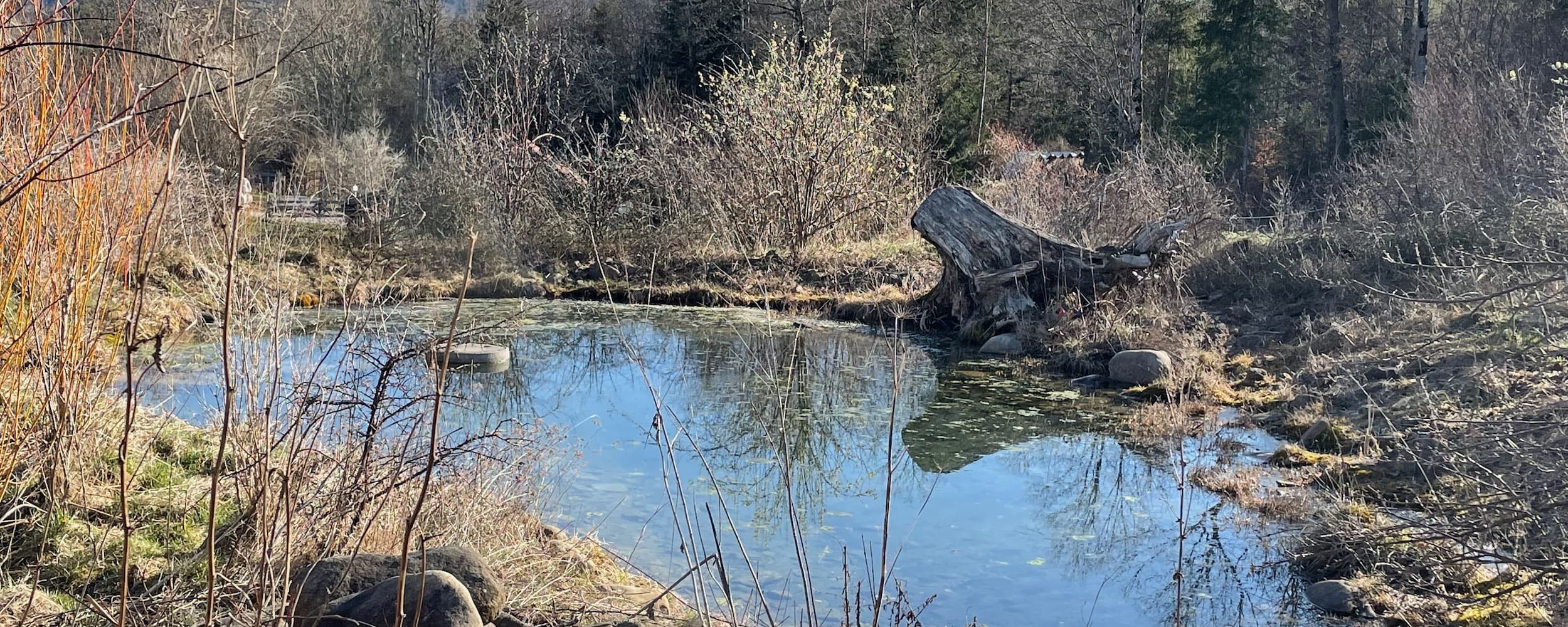 Wildtiere & Natur